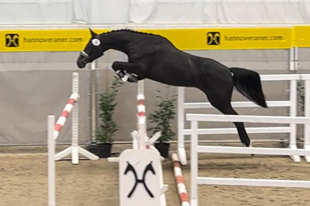 COCO CHANEL v. CHRISTIANS CHACCO x NUMERO UNO